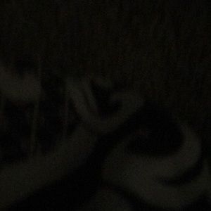 Meet your Posher, Trevor